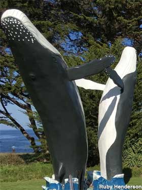 Whale sculptures.