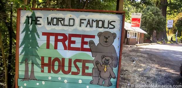 World Famous Tree House.
