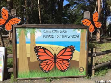 Monarch Butterfly Grove.