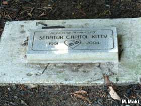 Senator Capitol Kitty.