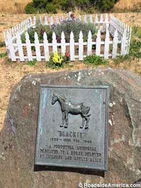 Blackie's memorial plaque and grave.