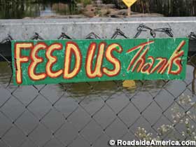 Feed Us Thanks.