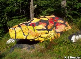 Painted Rock.
