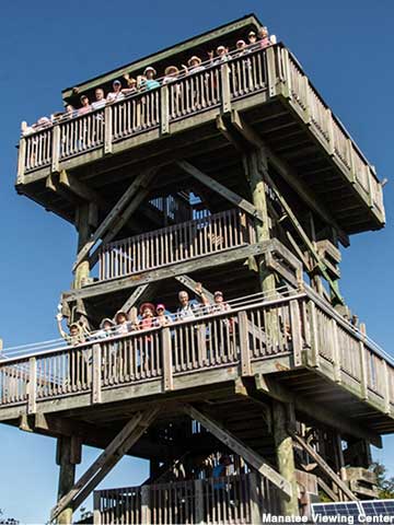 50-foot-high viewing tower lets you see even more manatees.