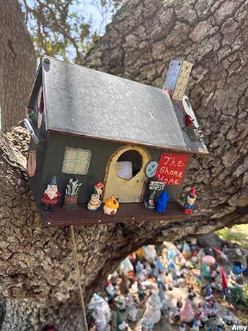 The Gnome House.