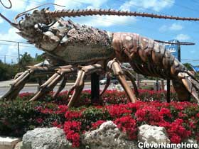 Giant Lobster.