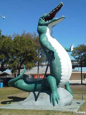 Gator statue.
