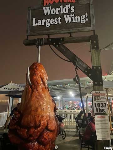 World's Largest Wing.