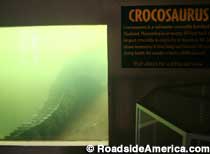 Hank the Crocosaurus