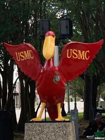 Marine Corps decorated pelican.
