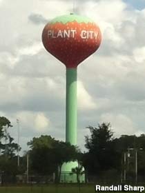 Plant City strawberry water tower.