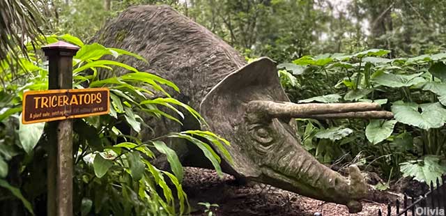 Triceratops of Bongoland.