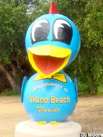 Vilano Beach Bluebird.