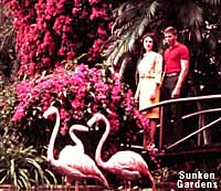 Classic Sunken Gardens.