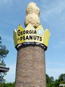 World's Largest Peanut.