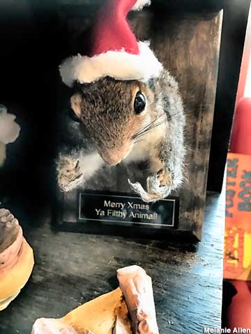 Mounted squirrel in holiday spirit.