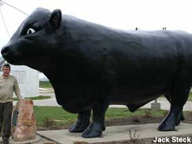 Big bull statue.