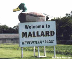Mallard on the town limits welcome sign.
