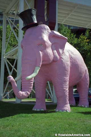 Pinky the Elephant.