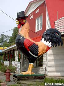 Rooster with top hat.