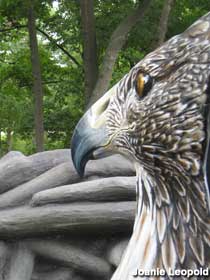Giant hawk in nest.