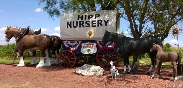 Hipp Nursery display.