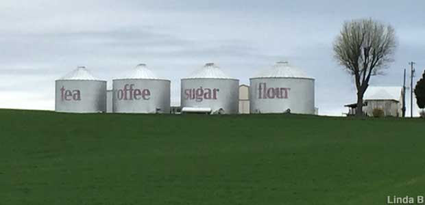 Kitchen canister silos.