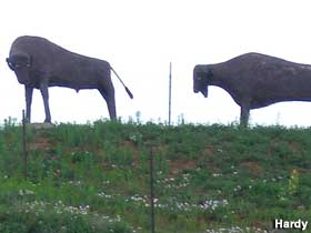 Bison sculptures.
