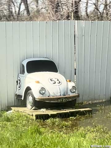 Herbie.
