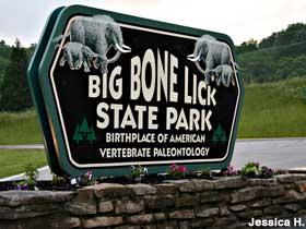 Sign for Big Bone Lick State Park.