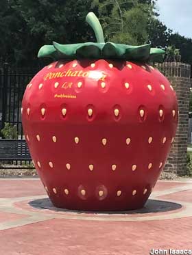Giant Strawberry.