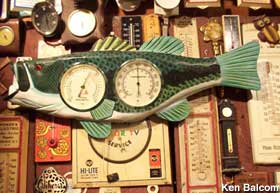 Fish thermometer.