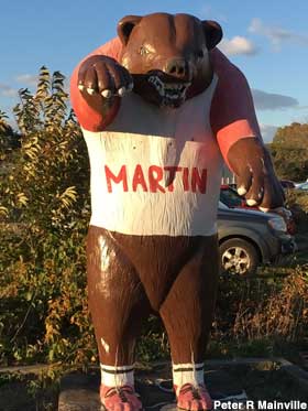 Martin the Bear.