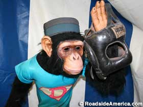 Monkey waves farewell to the Dime Museum?