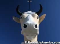 Giant Cow Head.