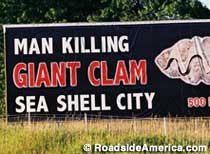 Man Killing Giant Clam.