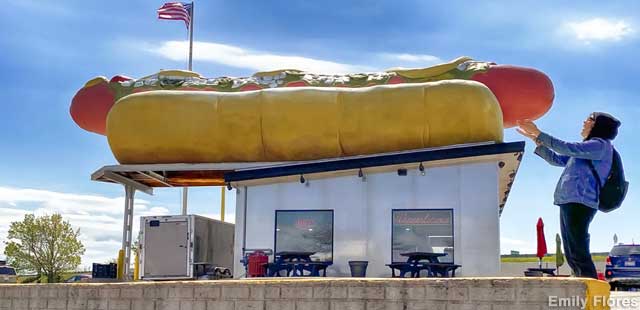Giant hot dog.