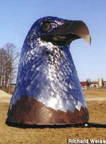 Stainless steel eagle head.
