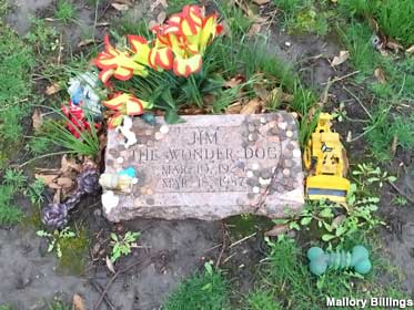 Grave of Jim the Wonder Dog.