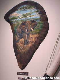 Painting of an elephant on an elephant's ear.