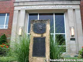American Angus Association.
