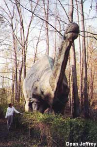 Dinosaur in the woods.