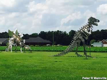 Dinosaur skeleton sculptures.