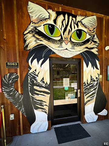 Cat museum entrance.