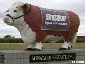 Beef - King of Meats