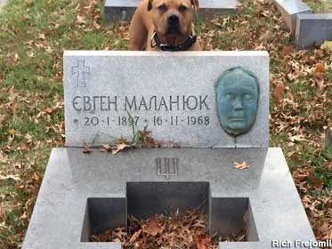 Death mask on a gravestone.