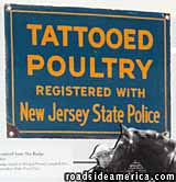 Poultry Tattoo sign.