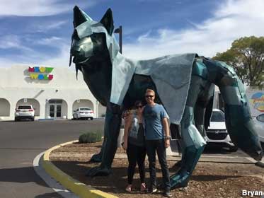 Meow Wolf.