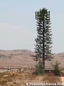 Fake tree cell phone tower.