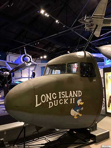 Long Island Duck II.